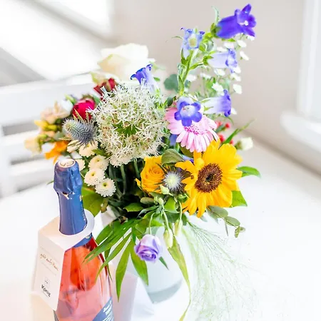 Stadthaus Boysen Whg 4 * 韦斯特兰